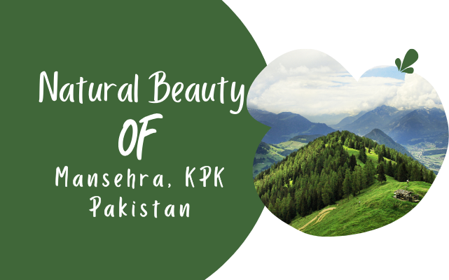 mansehra kpk pakistan